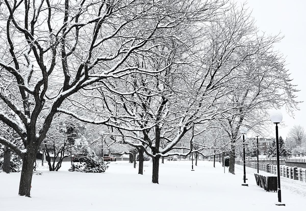 Second Winter