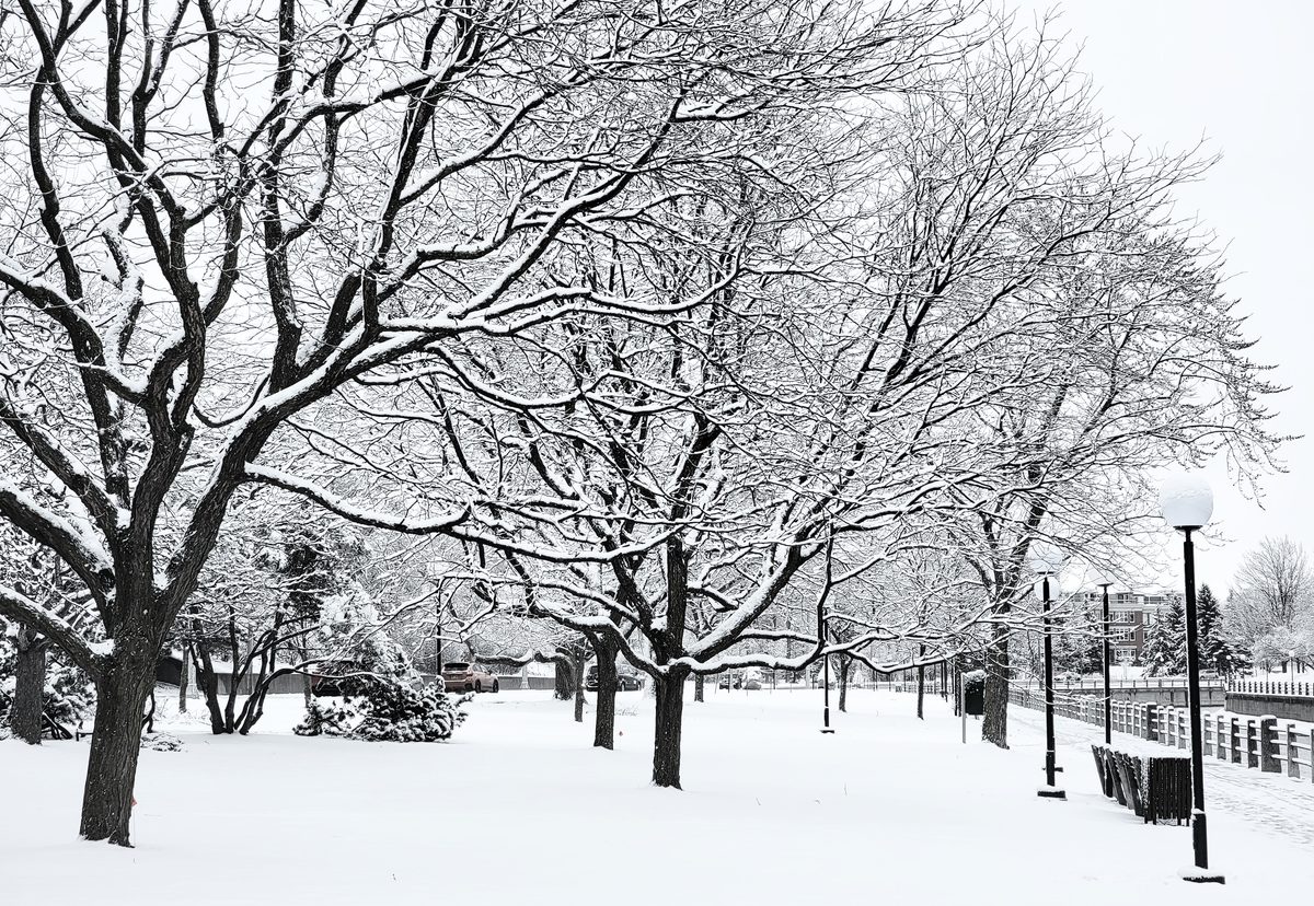 Second Winter