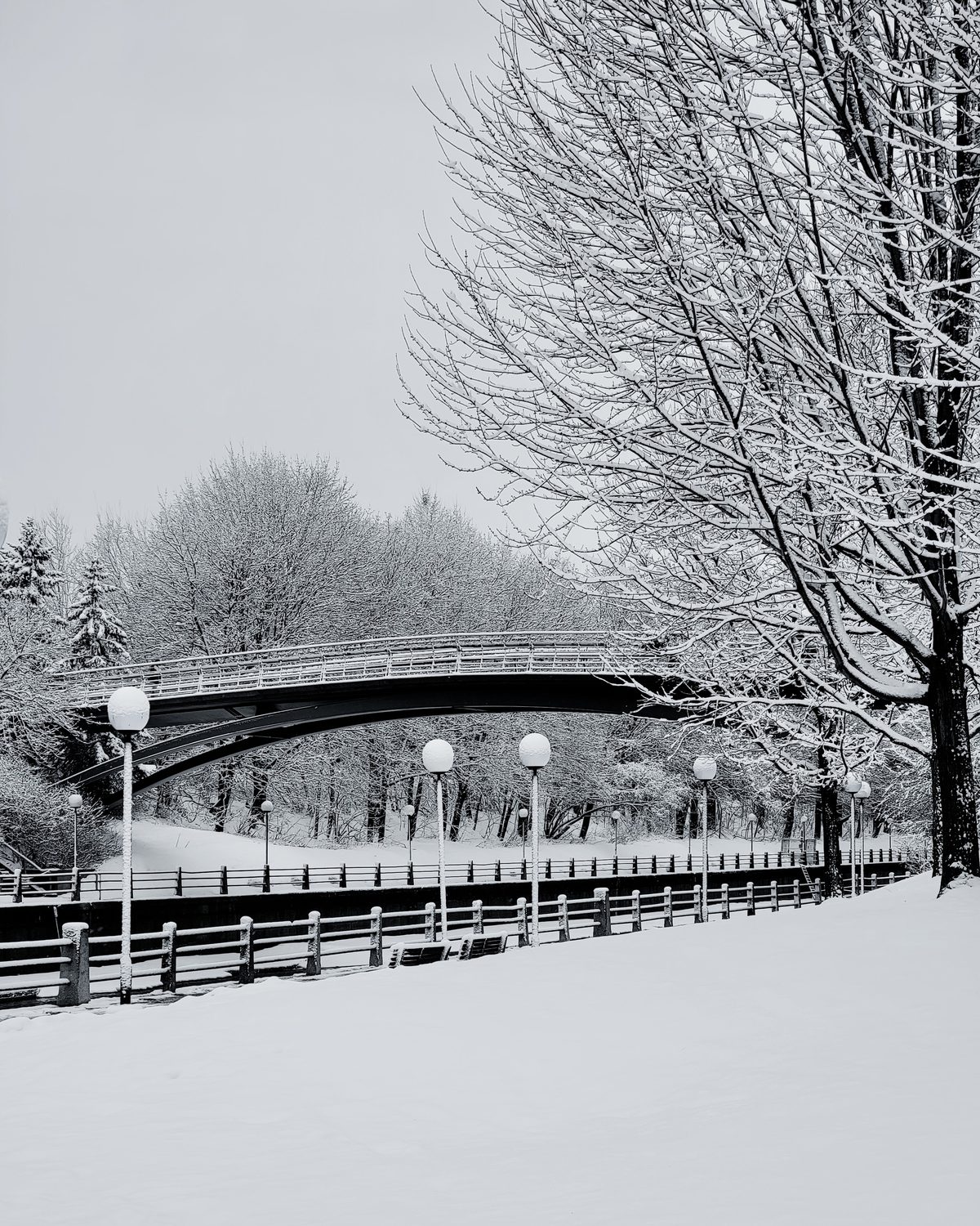 Ottawa winter snow corktown bridge