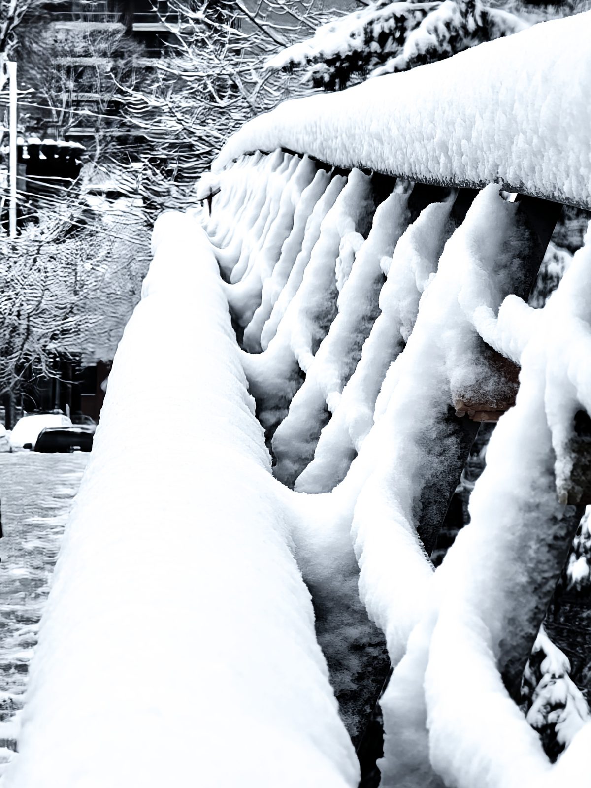 Ottawa winter snow corktown bridge railings