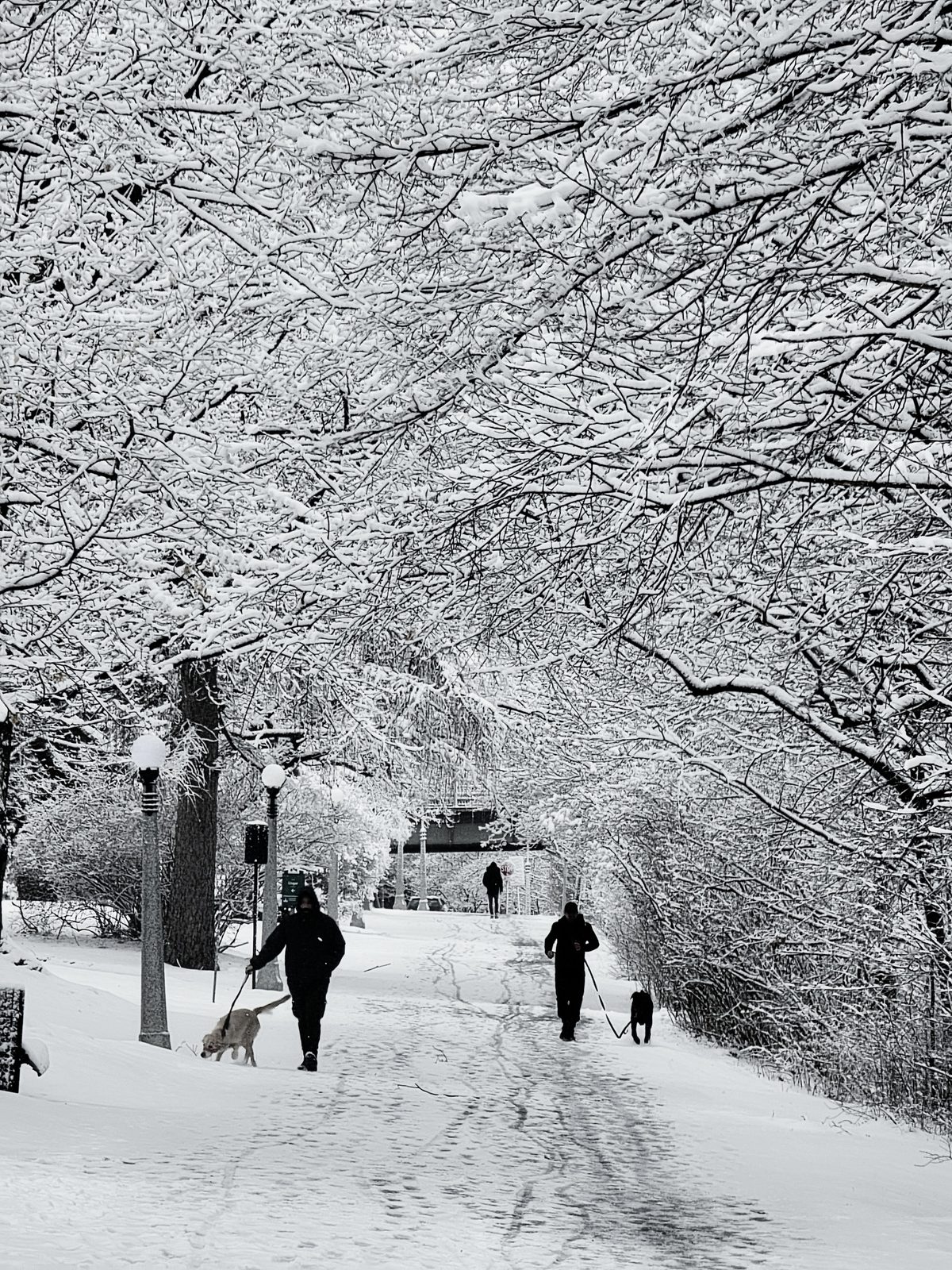 Ottawa winter snow rideau canal pathway