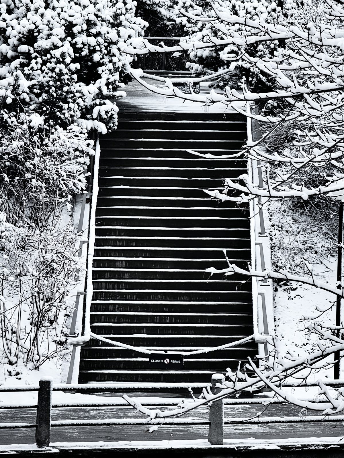 Ottawa winter snow rideau canal stairs