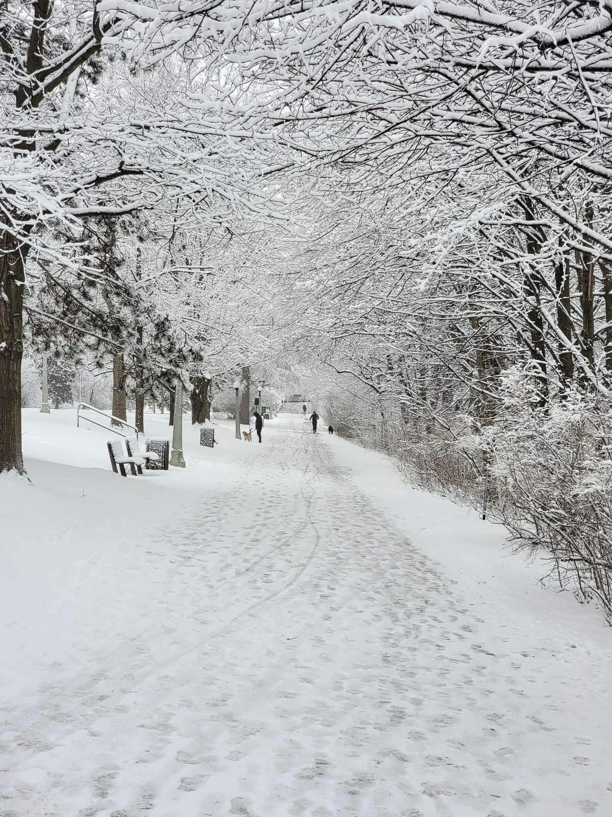 Ottawa winter snow rideau canal pathway 2